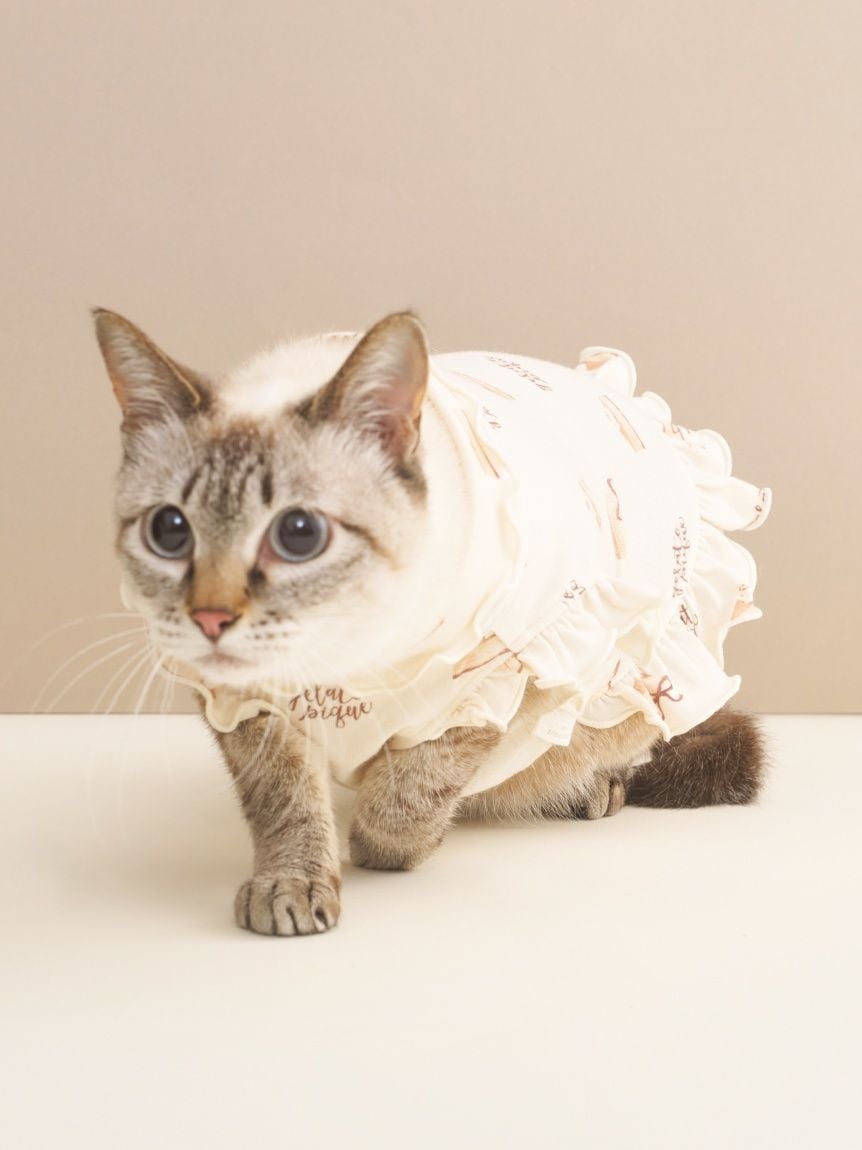 gelato pique（ジェラートピケ）【CAT&DOG】【販路限定商品】オータムケーキ柄プルオーバー｜全3色