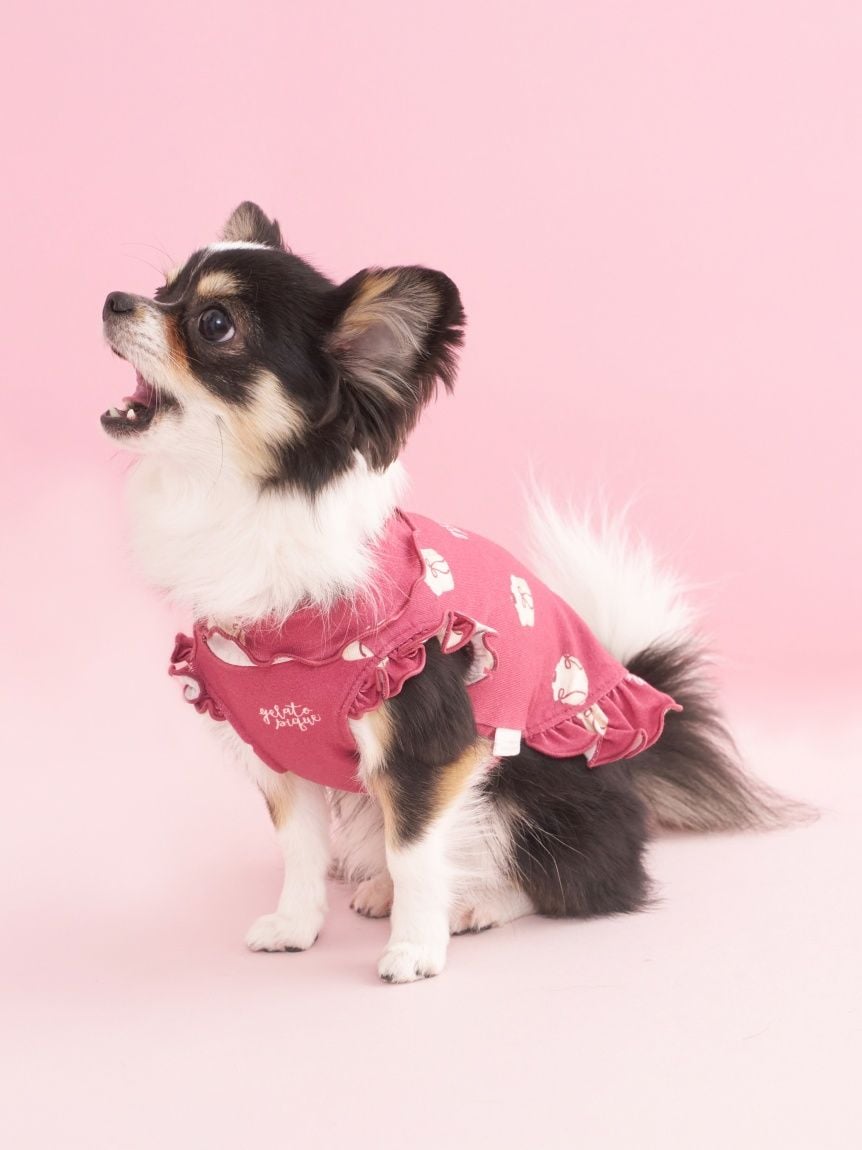 gelato pique（ジェラートピケ）【CAT&DOG】【販路限定商品】オータムケーキ柄プルオーバー｜全3色