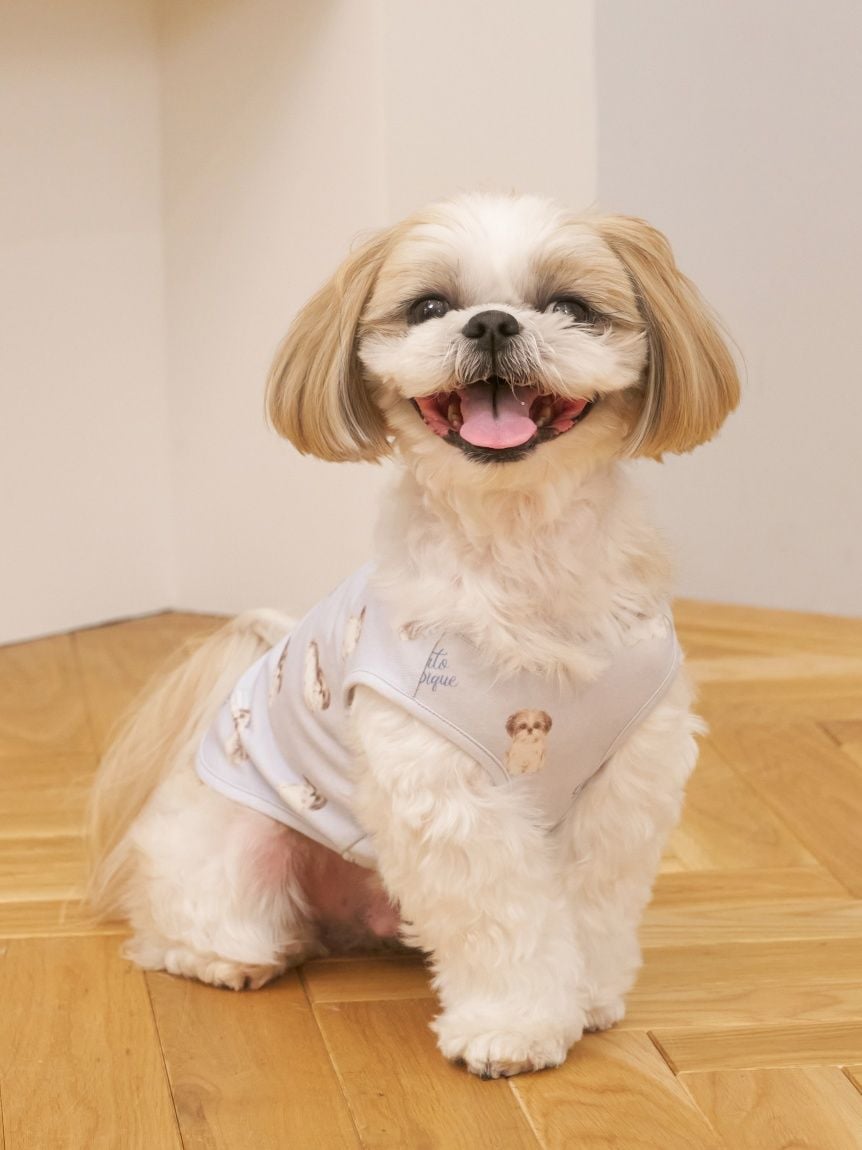 gelato pique（ジェラートピケ）【CAT&DOG】【販路限定商品】シーズー柄プルオーバー ｜全2色