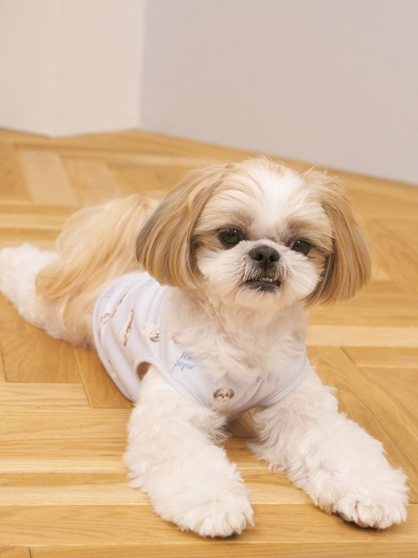 gelato pique（ジェラートピケ）【CAT&DOG】【販路限定商品】シーズー柄プルオーバー ｜全2色