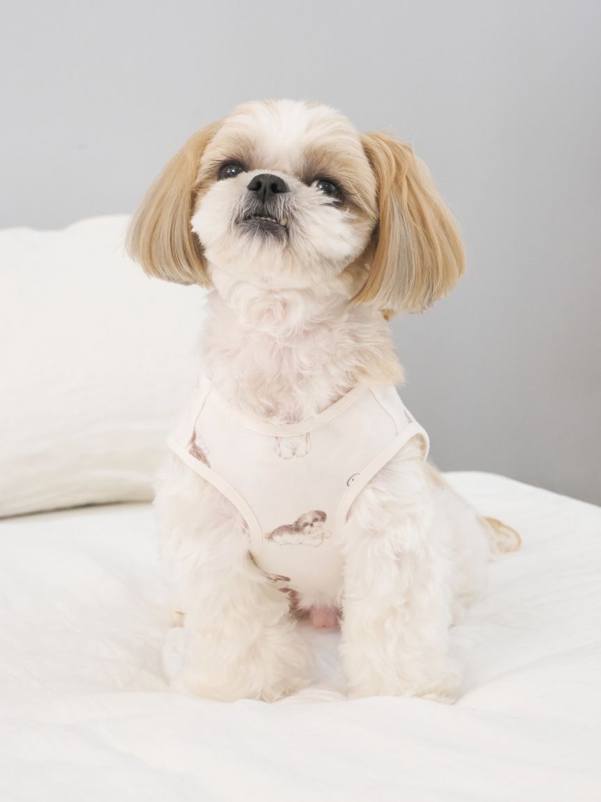 gelato pique（ジェラートピケ）【CAT&DOG】【販路限定商品】シーズー柄プルオーバー ｜全2色