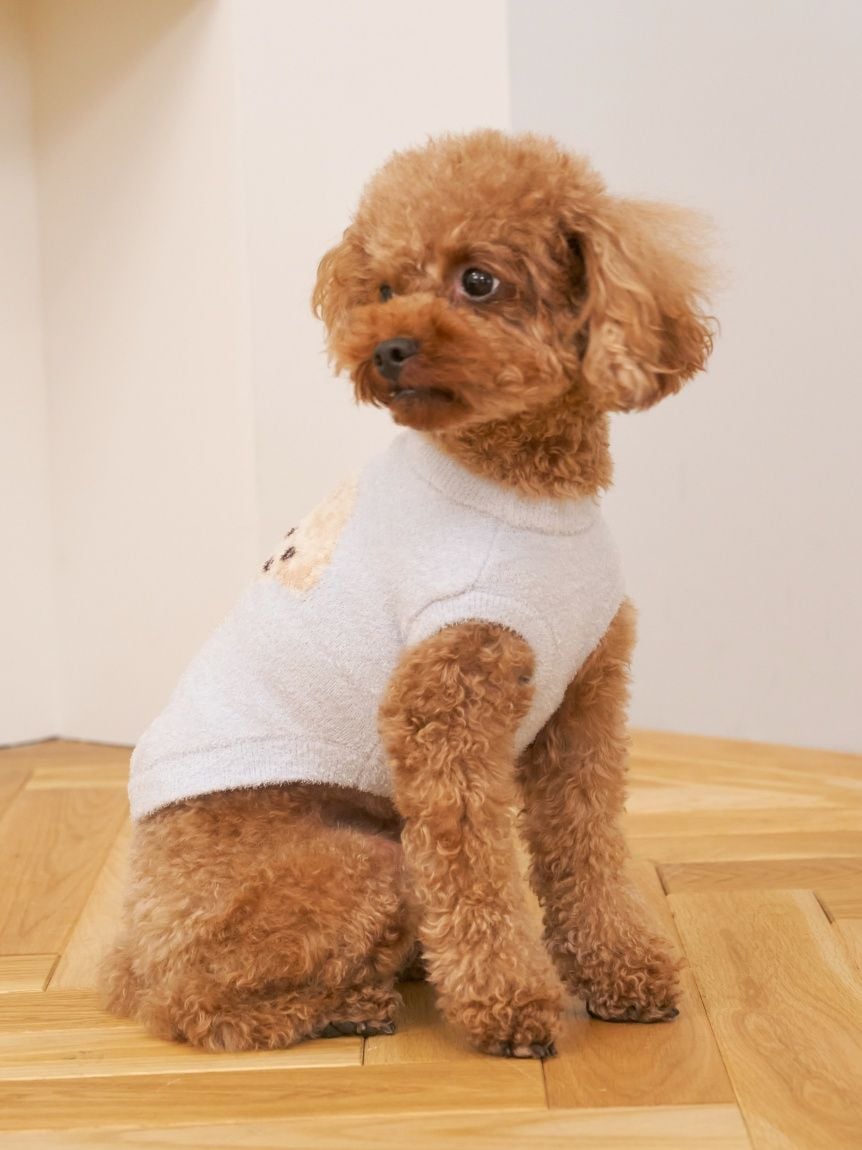 gelato pique（ジェラートピケ）【CAT&DOG】【販路限定商品】スムーズィートイプードル柄JQDプルオーバー｜全4色
