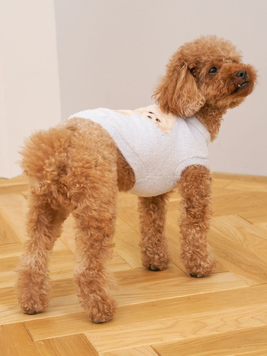 gelato pique（ジェラートピケ）【CAT&DOG】【販路限定商品】スムーズィートイプードル柄JQDプルオーバー｜全4色