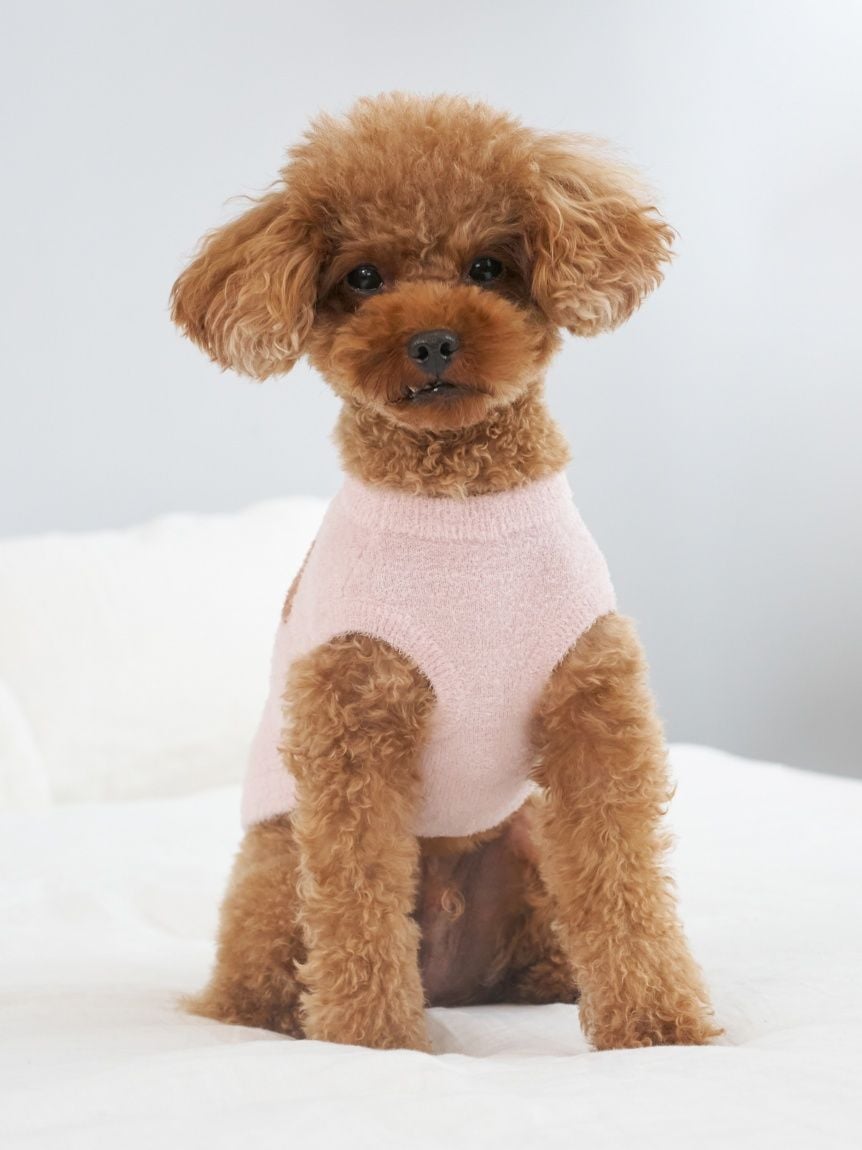 gelato pique（ジェラートピケ）【CAT&DOG】【販路限定商品】スムーズィートイプードル柄JQDプルオーバー｜全4色