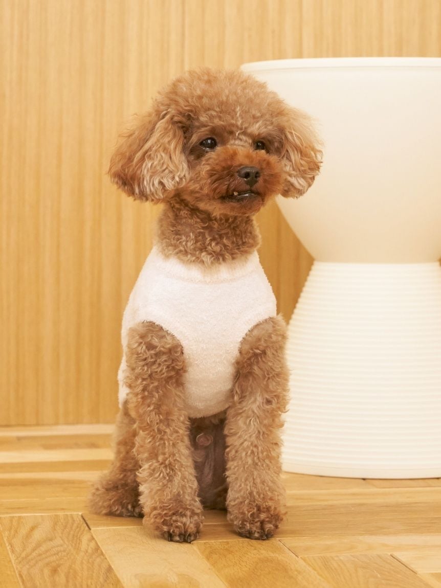 gelato pique（ジェラートピケ）【CAT&DOG】【販路限定商品】スムーズィートイプードル柄JQDプルオーバー｜全4色