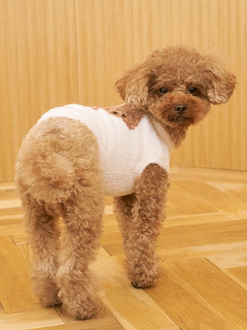 gelato pique（ジェラートピケ）【CAT&DOG】【販路限定商品】スムーズィートイプードル柄JQDプルオーバー｜全4色