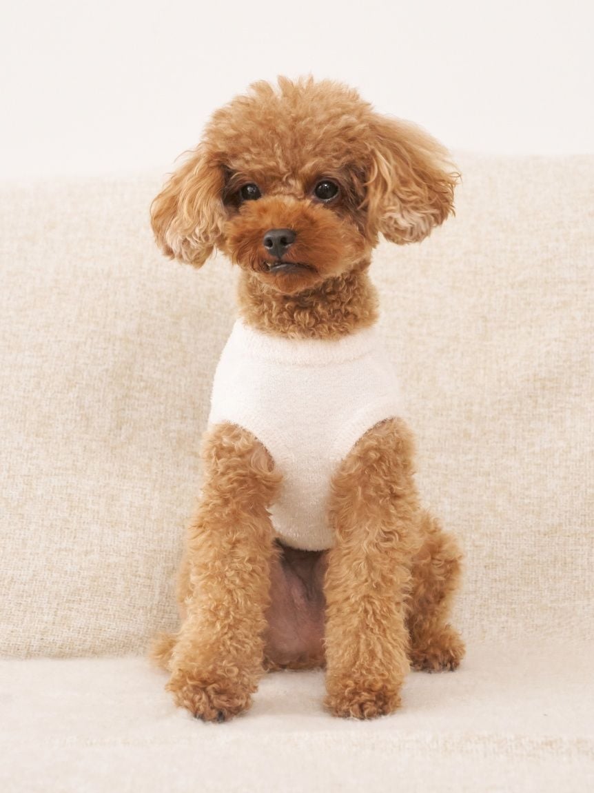 gelato pique（ジェラートピケ）【CAT&DOG】【販路限定商品】スムーズィートイプードル柄JQDプルオーバー｜全4色