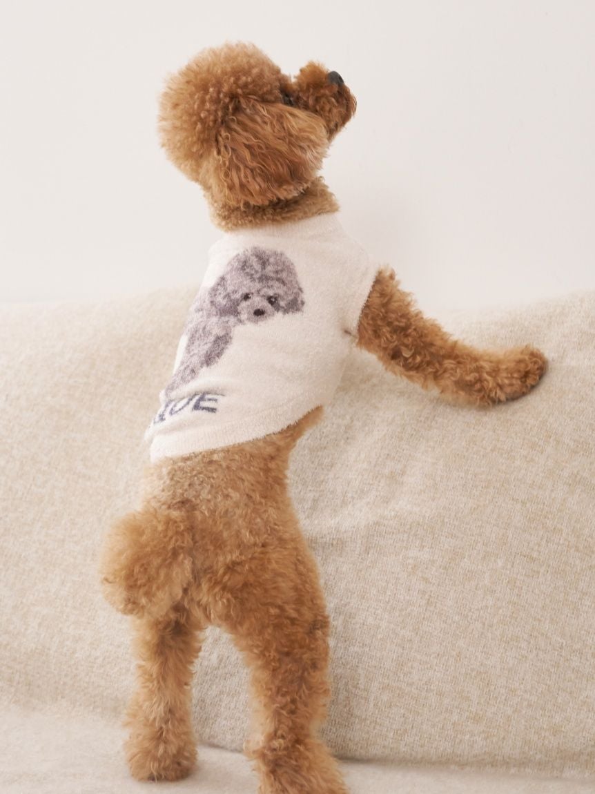 gelato pique（ジェラートピケ）【CAT&DOG】【販路限定商品】スムーズィートイプードル柄JQDプルオーバー｜全4色