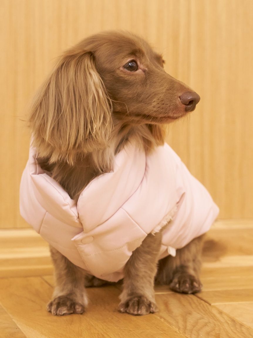 gelato pique（ジェラートピケ）【CAT&DOG】【販路限定商品】中綿ベスト｜全3色