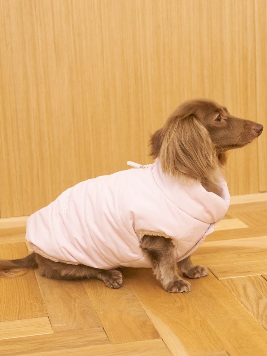 gelato pique（ジェラートピケ）【CAT&DOG】【販路限定商品】中綿ベスト｜全3色