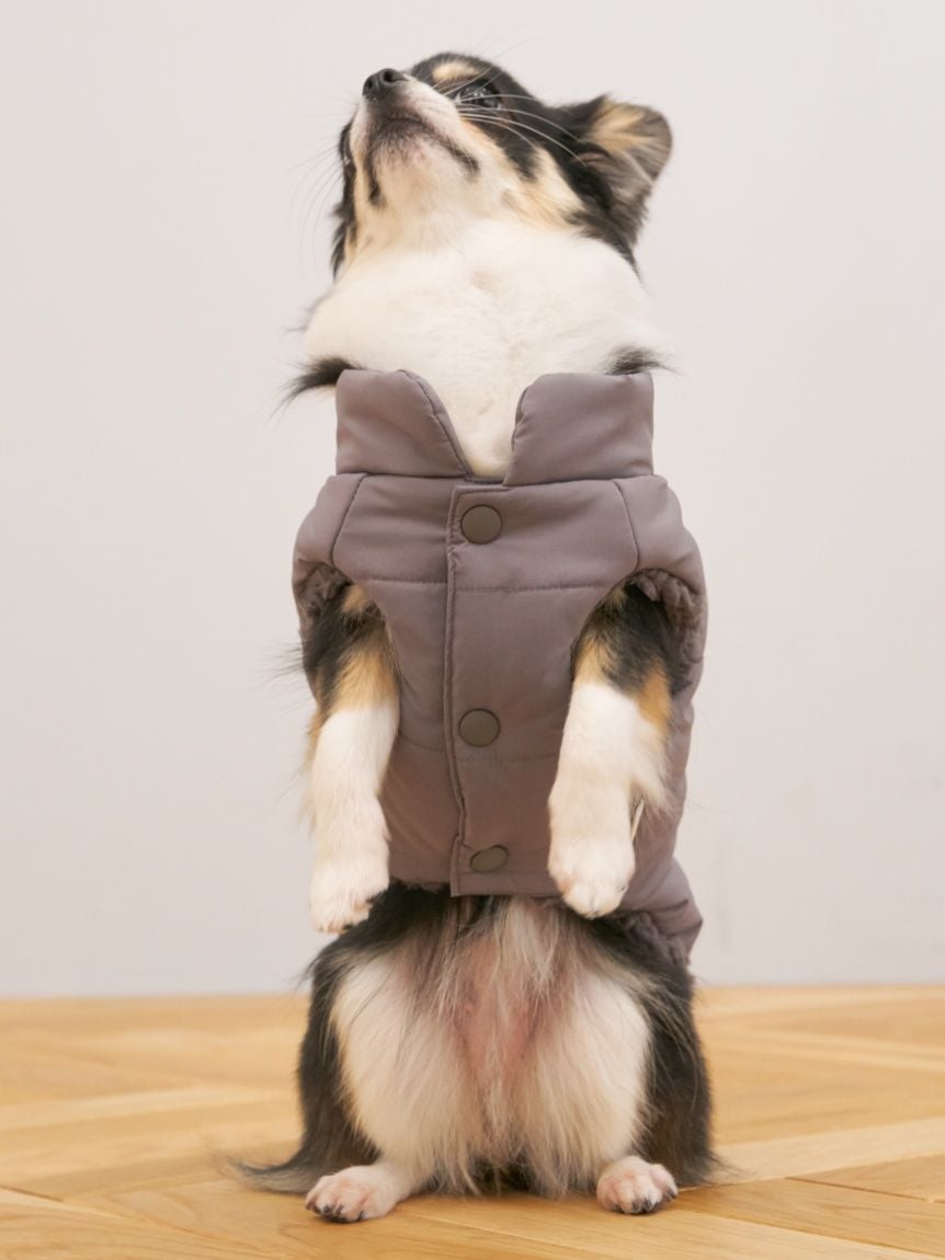 gelato pique（ジェラートピケ）【CAT&DOG】【販路限定商品】中綿ベスト｜全3色
