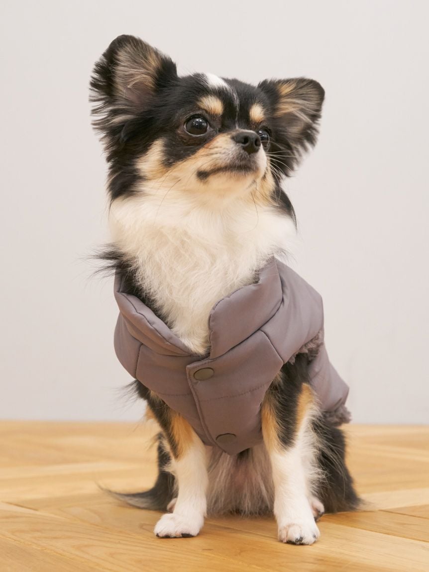 gelato pique（ジェラートピケ）【CAT&DOG】【販路限定商品】中綿ベスト｜全3色