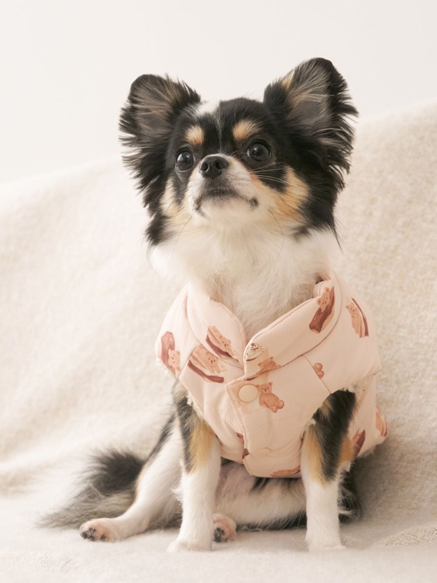 gelato pique（ジェラートピケ）【CAT&DOG】【販路限定商品】中綿ベスト｜全3色