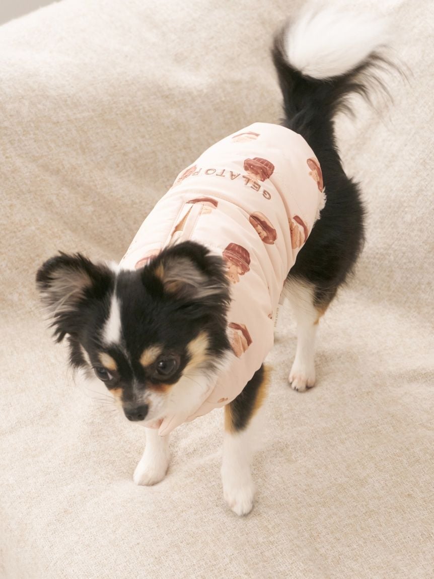 gelato pique（ジェラートピケ）【CAT&DOG】【販路限定商品】中綿ベスト｜全3色