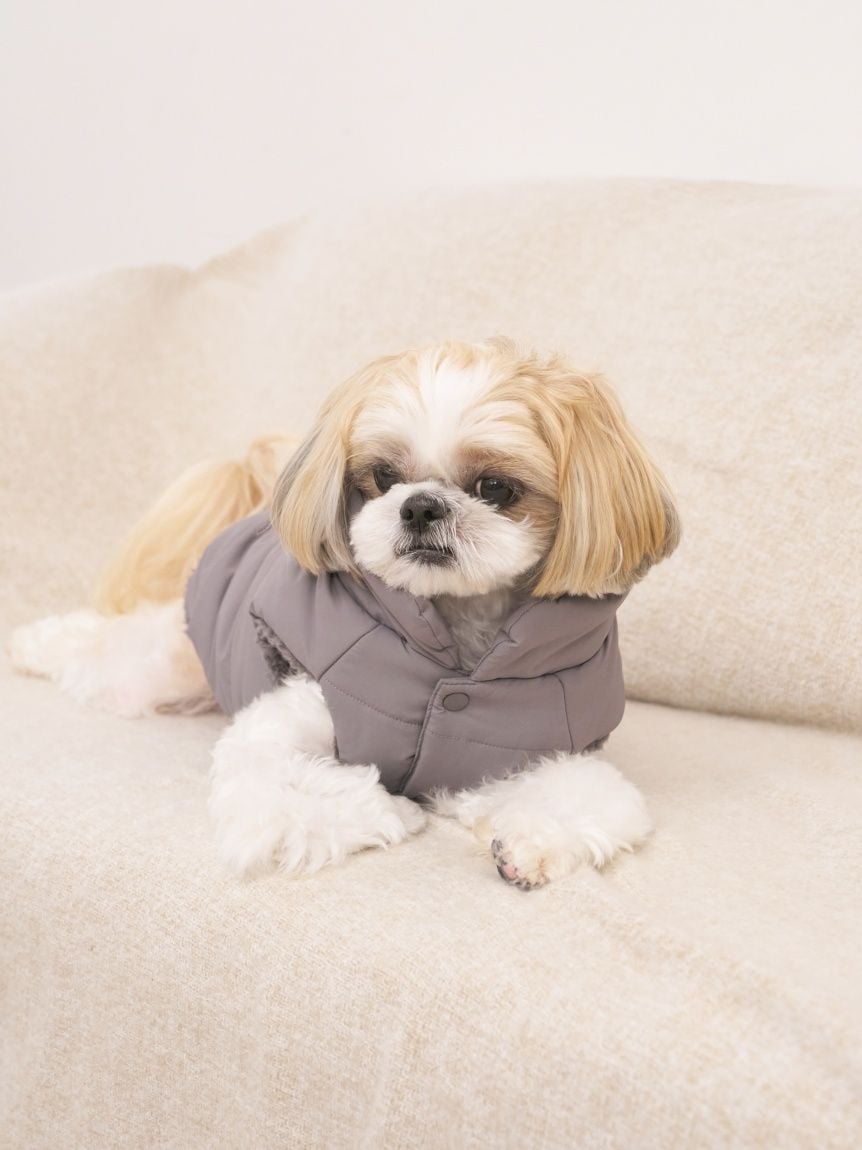 gelato pique（ジェラートピケ）【CAT&DOG】【販路限定商品】中綿ベスト ラージサイズ｜全3色