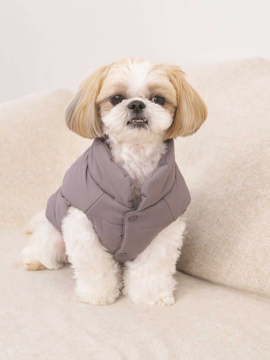 gelato pique（ジェラートピケ）【CAT&DOG】【販路限定商品】中綿ベスト ラージサイズ｜全3色