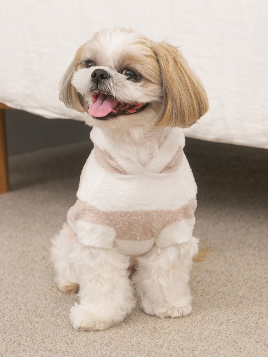 gelato pique（ジェラートピケ）【CAT&DOG】【販路限定商品】スムーズィー２ＢＤフーディー｜全4色