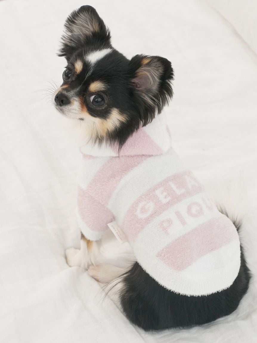 gelato pique（ジェラートピケ）【CAT&DOG】【販路限定商品】スムーズィー２ＢＤフーディー｜全4色