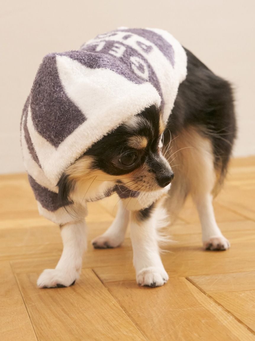 gelato pique（ジェラートピケ）【CAT&DOG】【販路限定商品】スムーズィー２ＢＤフーディー｜全4色