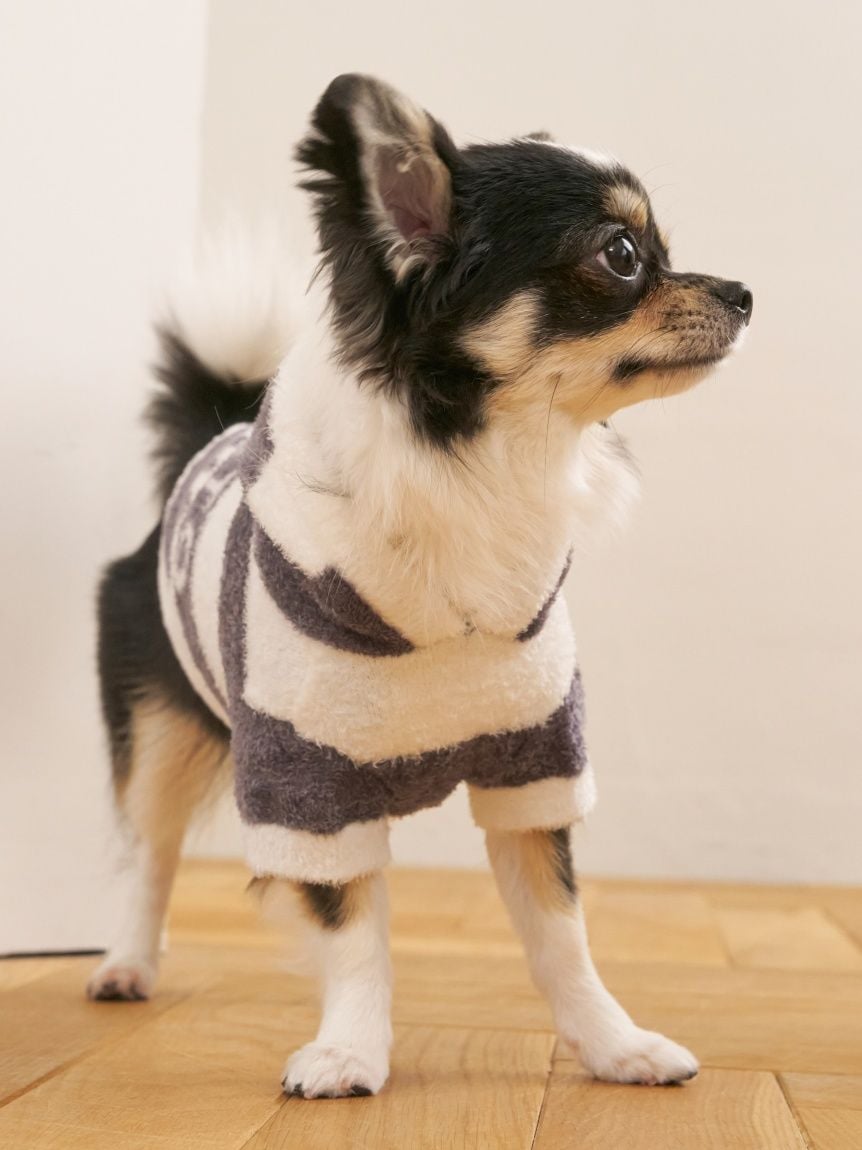 gelato pique（ジェラートピケ）【CAT&DOG】【販路限定商品】スムーズィー２ＢＤフーディー｜全4色