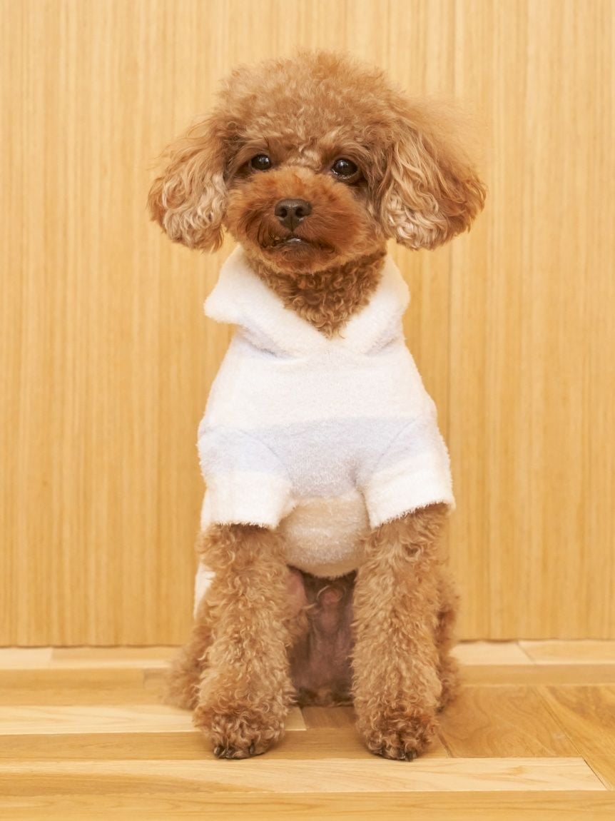 gelato pique（ジェラートピケ）【CAT&DOG】【販路限定商品】スムーズィー２ＢＤフーディー｜全4色