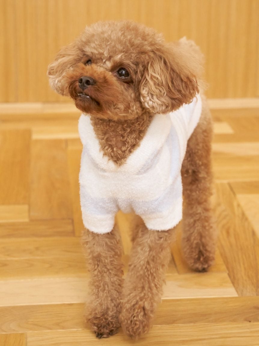 gelato pique（ジェラートピケ）【CAT&DOG】【販路限定商品】スムーズィー２ＢＤフーディー｜全4色