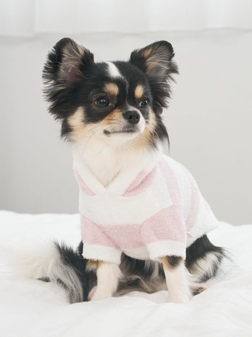 gelato pique（ジェラートピケ）【CAT&DOG】【販路限定商品】スムーズィー２ＢＤフーディー｜全4色