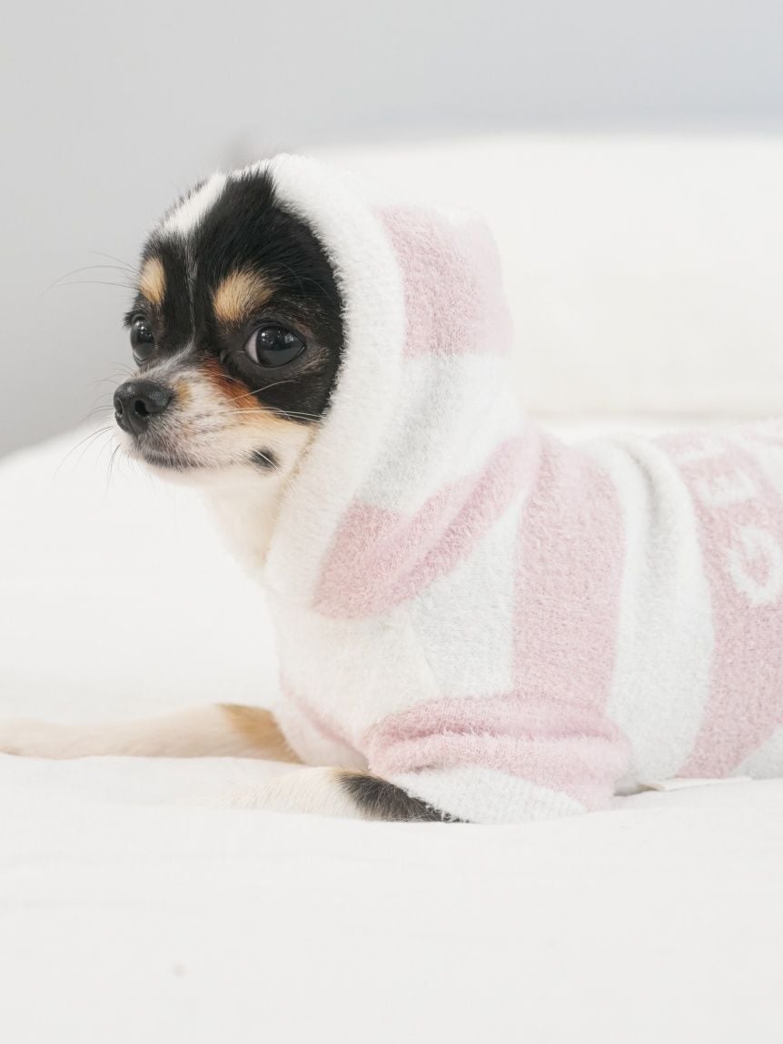 gelato pique（ジェラートピケ）【CAT&DOG】【販路限定商品】スムーズィー２ＢＤフーディー｜全4色