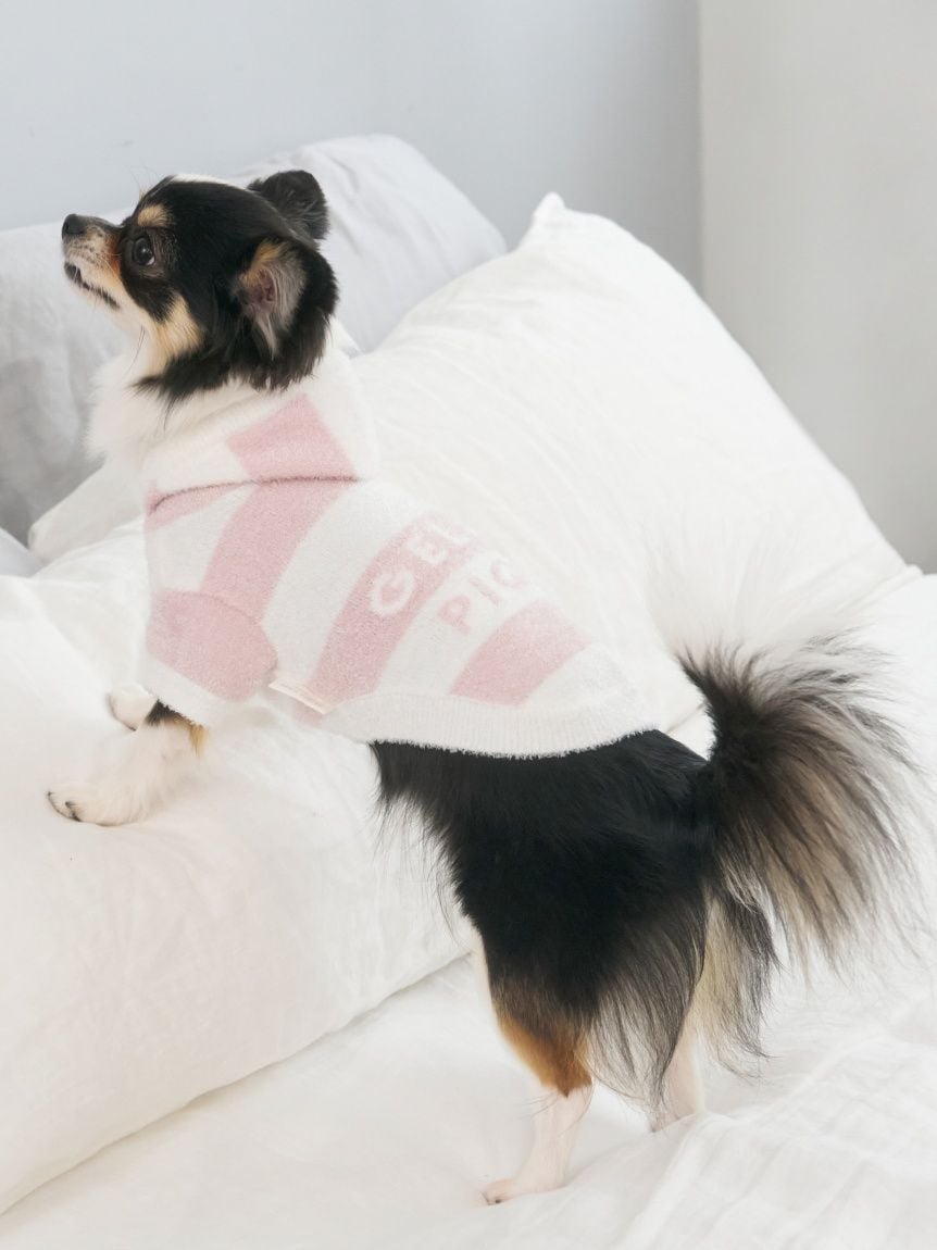 gelato pique（ジェラートピケ）【CAT&DOG】【販路限定商品】スムーズィー２ＢＤフーディー｜全4色