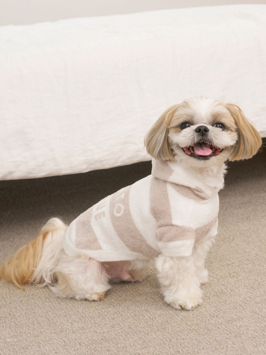 gelato pique（ジェラートピケ）【CAT&DOG】【販路限定商品】スムーズィー２ＢＤフーディー｜全4色