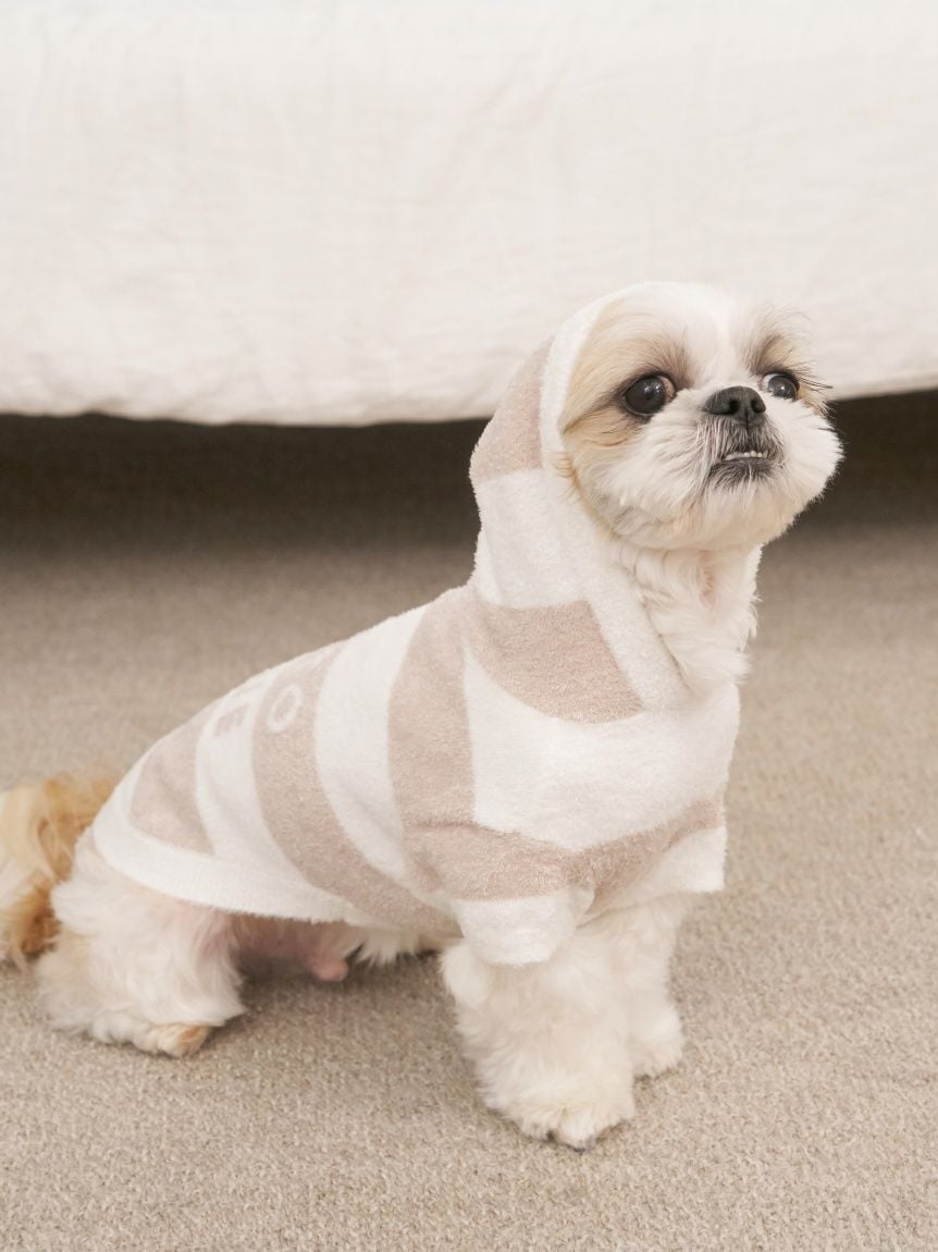 gelato pique（ジェラートピケ）【CAT&DOG】【販路限定商品】スムーズィー２ＢＤフーディー｜全4色