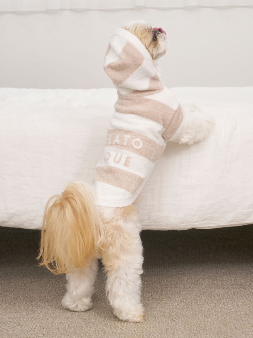 gelato pique（ジェラートピケ）【CAT&DOG】【販路限定商品】スムーズィー２ＢＤフーディー｜全4色