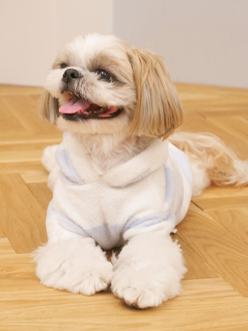 gelato pique（ジェラートピケ）【CAT&DOG】【販路限定商品】スムーズィー２ＢＤフーディー ラージサイズ｜全4色