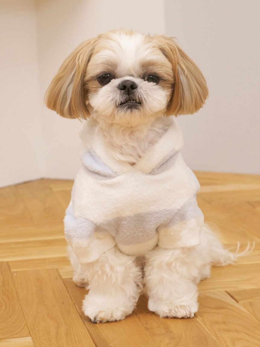 gelato pique（ジェラートピケ）【CAT&DOG】【販路限定商品】スムーズィー２ＢＤフーディー ラージサイズ｜全4色