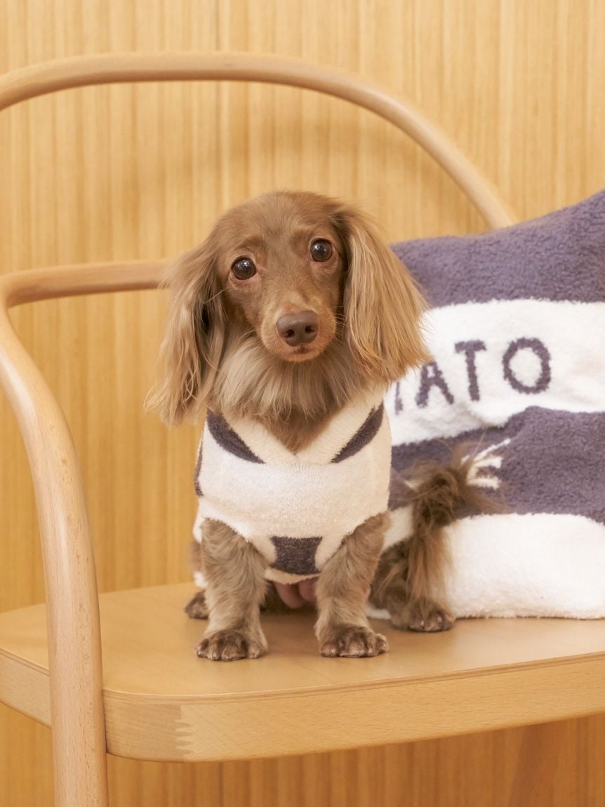 gelato pique（ジェラートピケ）【CAT&DOG】【販路限定商品】スムーズィー２ＢＤフーディー ダックスサイズ｜全4色
