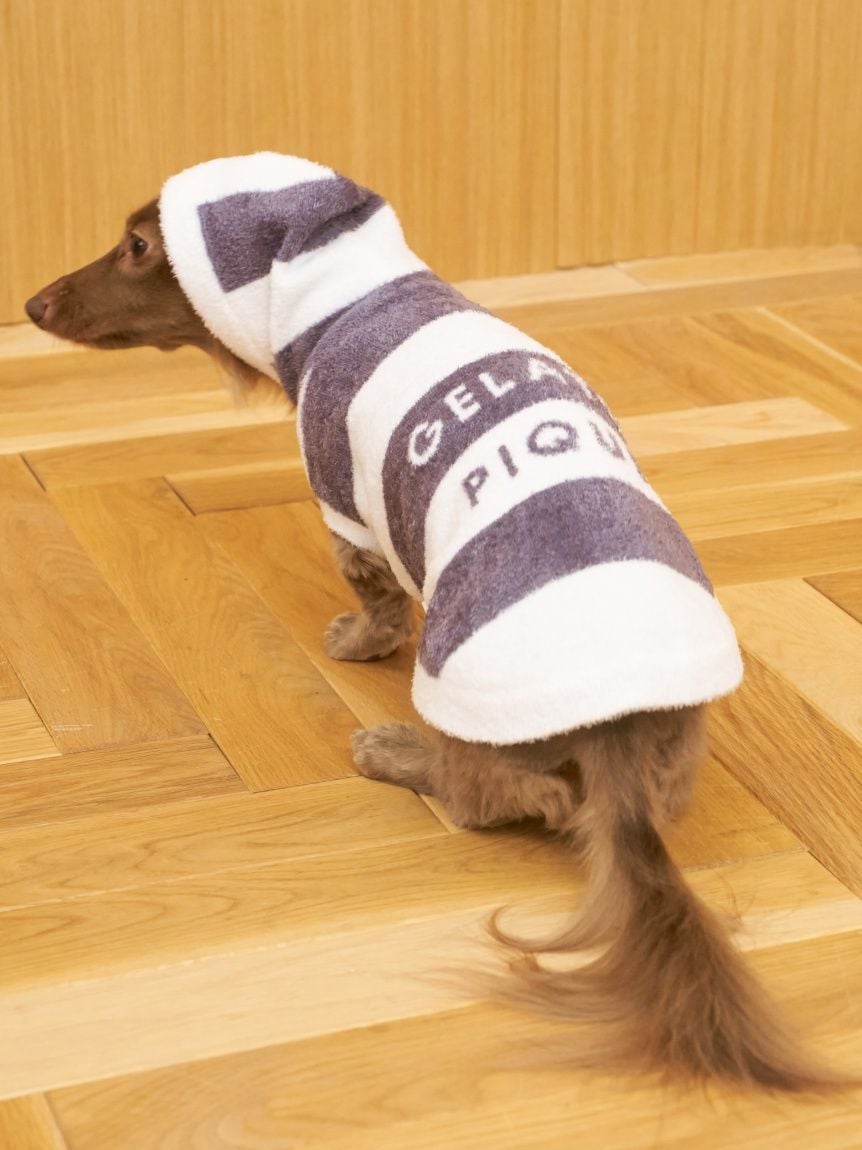 gelato pique（ジェラートピケ）【CAT&DOG】【販路限定商品】スムーズィー２ＢＤフーディー ダックスサイズ｜全4色