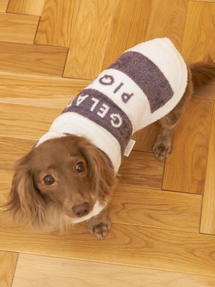 gelato pique（ジェラートピケ）【CAT&DOG】【販路限定商品】スムーズィー２ＢＤフーディー ダックスサイズ｜全4色