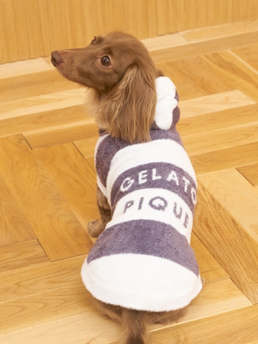gelato pique（ジェラートピケ）【CAT&DOG】【販路限定商品】スムーズィー２ＢＤフーディー ダックスサイズ｜全4色