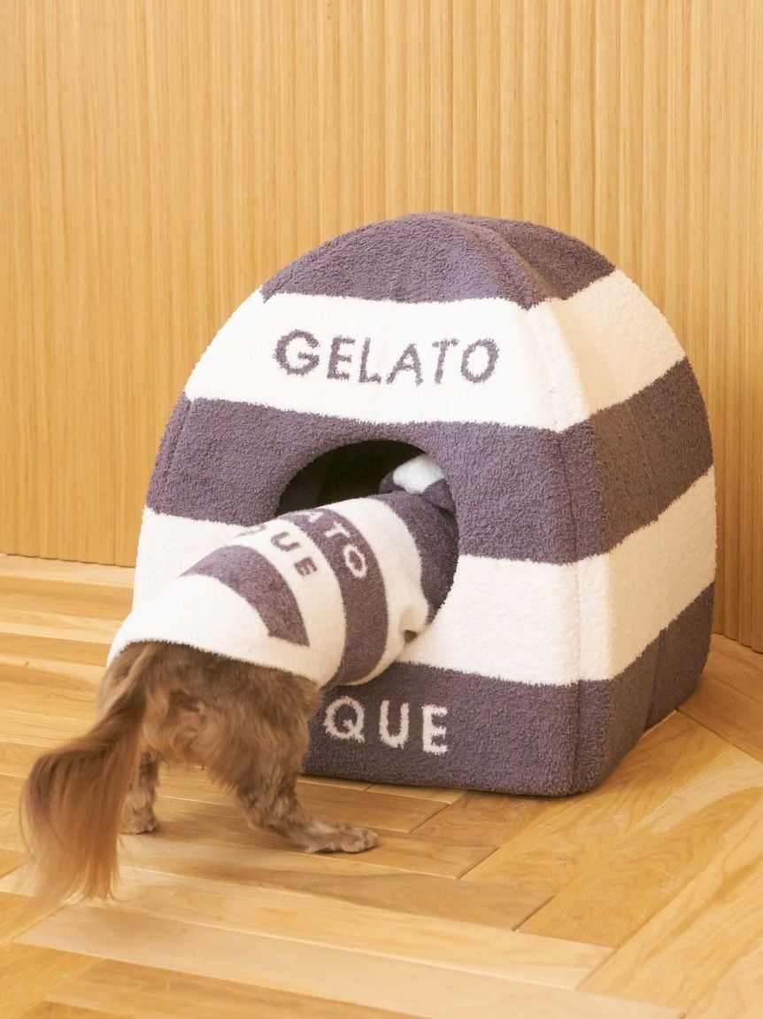 gelato pique（ジェラートピケ）【CAT&DOG】【販路限定商品】スムーズィー２ＢＤフーディー ダックスサイズ｜全4色