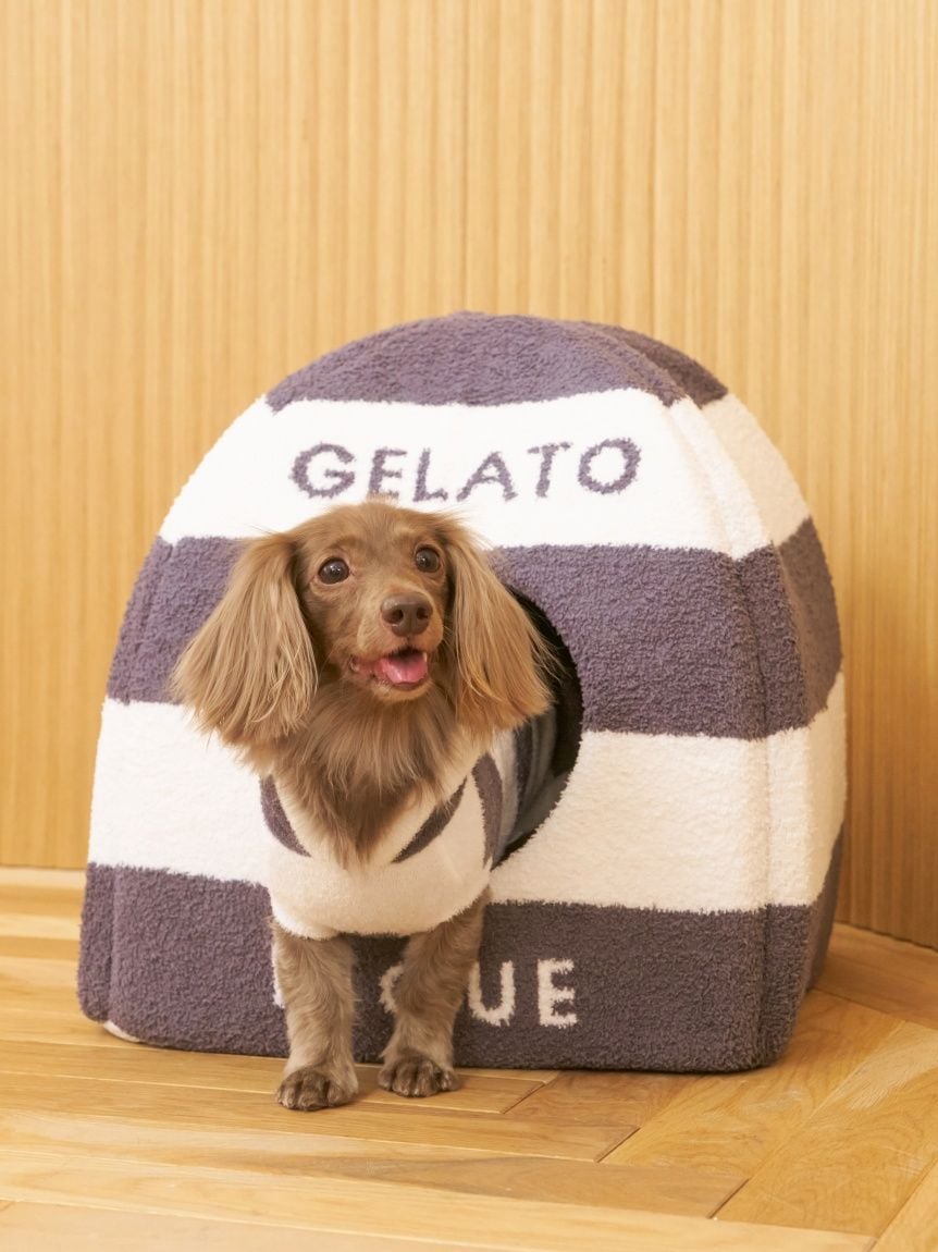 gelato pique（ジェラートピケ）【CAT&DOG】【販路限定商品】スムーズィー２ＢＤフーディー ダックスサイズ｜全4色