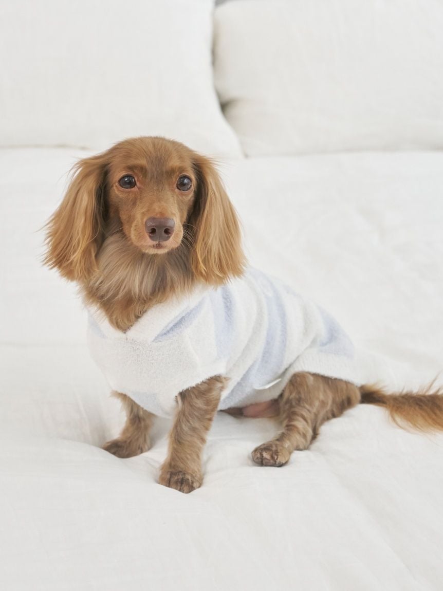 gelato pique（ジェラートピケ）【CAT&DOG】【販路限定商品】スムーズィー２ＢＤフーディー ダックスサイズ｜全4色