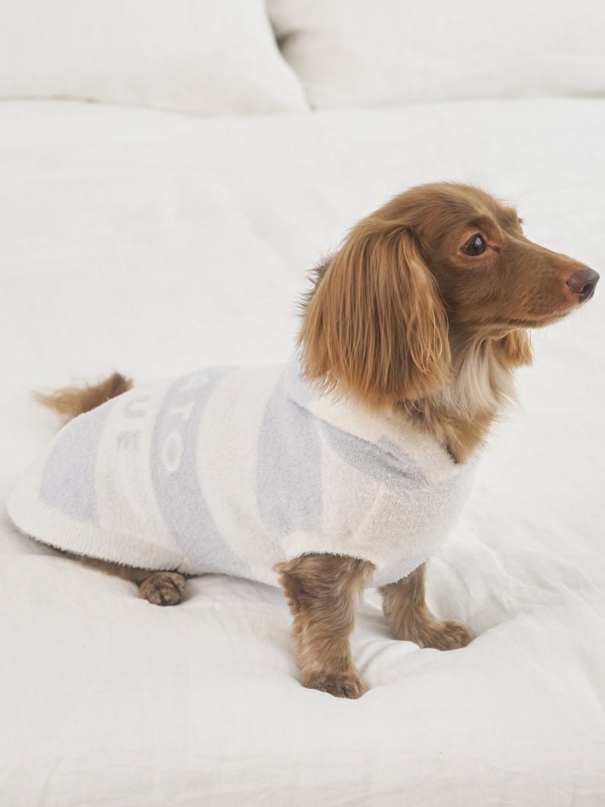 gelato pique（ジェラートピケ）【CAT&DOG】【販路限定商品】スムーズィー２ＢＤフーディー ダックスサイズ｜全4色