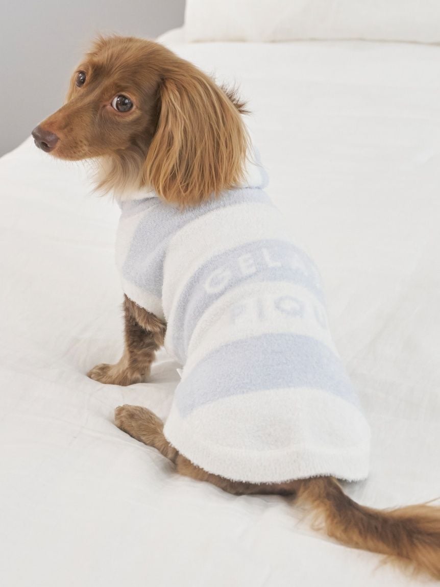 gelato pique（ジェラートピケ）【CAT&DOG】【販路限定商品】スムーズィー２ＢＤフーディー ダックスサイズ｜全4色