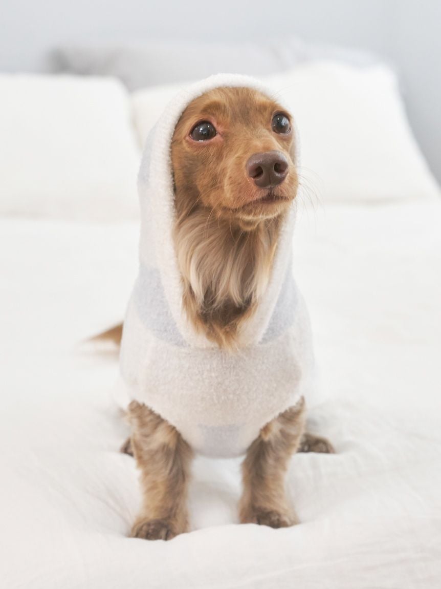 gelato pique（ジェラートピケ）【CAT&DOG】【販路限定商品】スムーズィー２ＢＤフーディー ダックスサイズ｜全4色