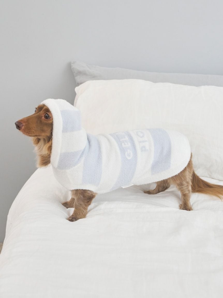 gelato pique（ジェラートピケ）【CAT&DOG】【販路限定商品】スムーズィー２ＢＤフーディー ダックスサイズ｜全4色