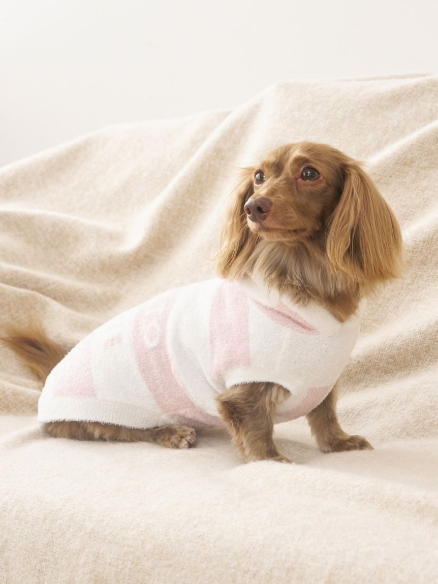 gelato pique（ジェラートピケ）【CAT&DOG】【販路限定商品】スムーズィー２ＢＤフーディー ダックスサイズ｜全4色