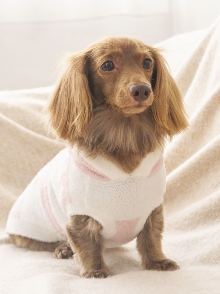 gelato pique（ジェラートピケ）【CAT&DOG】【販路限定商品】スムーズィー２ＢＤフーディー ダックスサイズ｜全4色