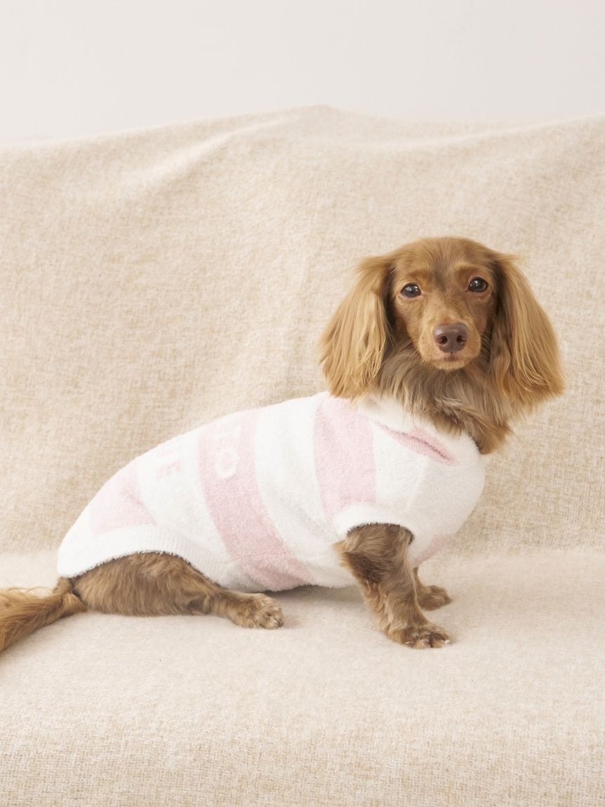 gelato pique（ジェラートピケ）【CAT&DOG】【販路限定商品】スムーズィー２ＢＤフーディー ダックスサイズ｜全4色