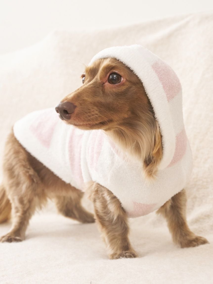 gelato pique（ジェラートピケ）【CAT&DOG】【販路限定商品】スムーズィー２ＢＤフーディー ダックスサイズ｜全4色
