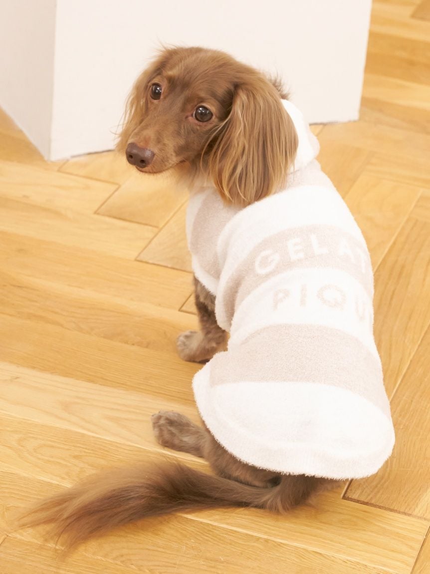 gelato pique（ジェラートピケ）【CAT&DOG】【販路限定商品】スムーズィー２ＢＤフーディー ダックスサイズ｜全4色